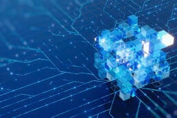 Blog 9 Thumbnail uai - D&B SAME