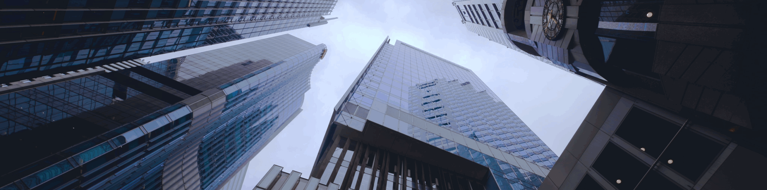 Cover 1 2 scaled - D&B SAME