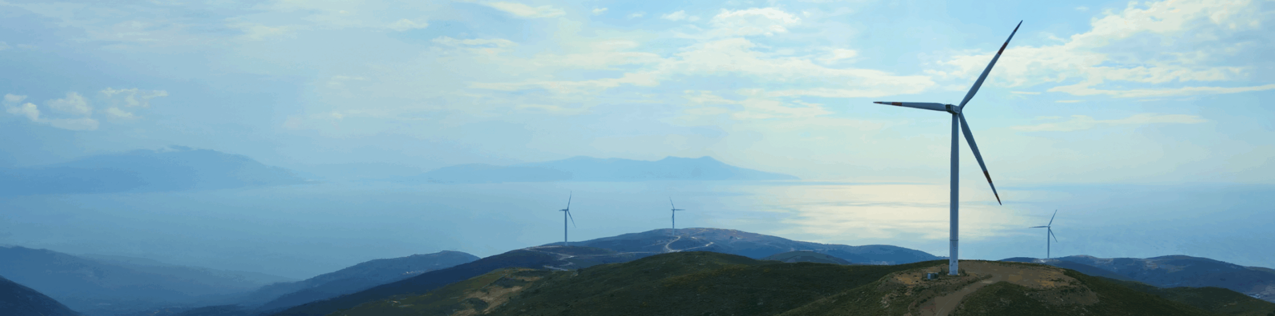 Cover 8 scaled - D&B SAME