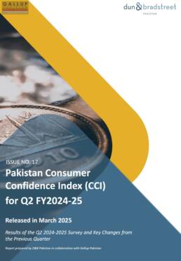 DB GP CCI Report Q22024 25 March 2025 scaled uai - D&B SAME