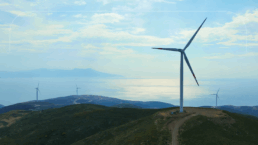 Thumbnail 1 1 1 uai - D&B SAME